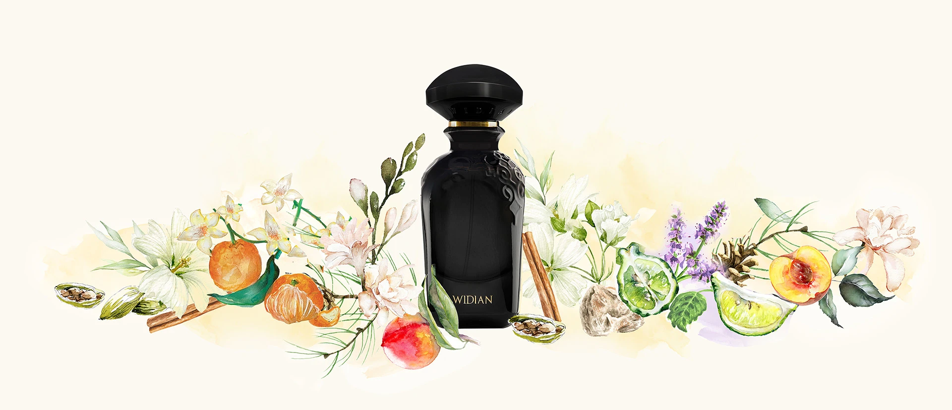 Black Collection
