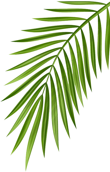 right-leaf