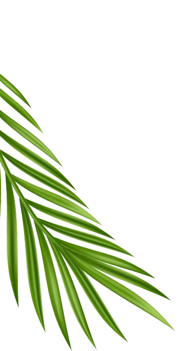 left-leaf